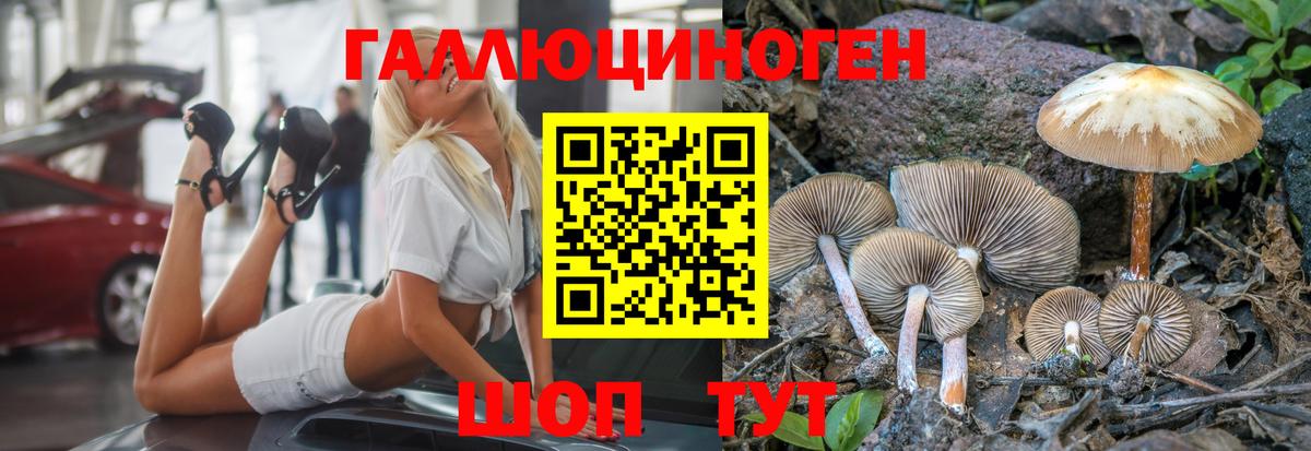 Галлюциногенные грибы мухоморы Белорецк