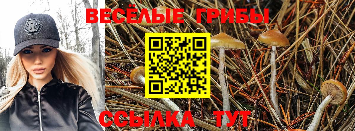 Псилоцибиновые грибы мицелий  Псилоцибиновые грибы Magic Shrooms  Вход с VPN  Белорецк 
